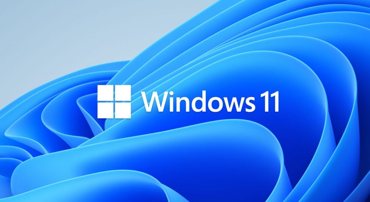 Microsoft Windows 11 Pro - 1