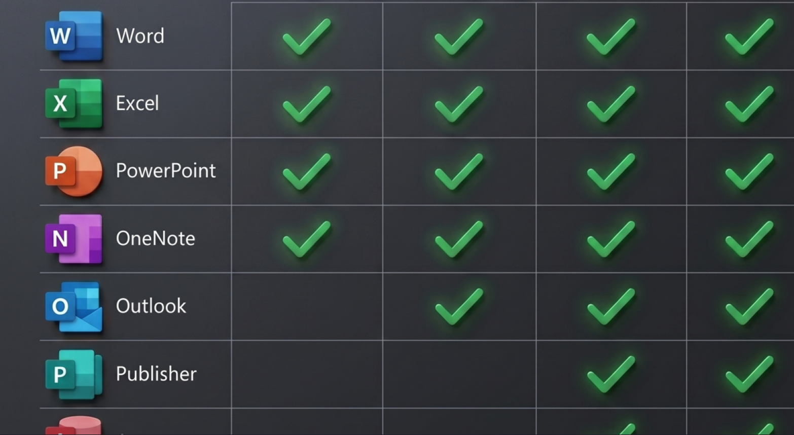 Microsoft Office Professional Plus 2019 - 3