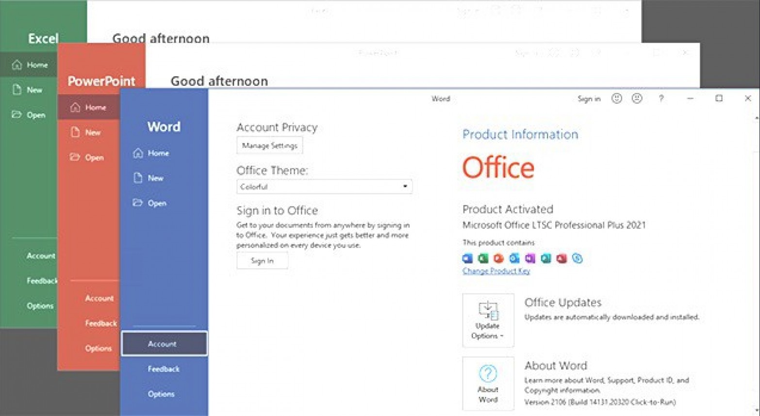 Microsoft Office Home and Business for Mac 2021 - 4
