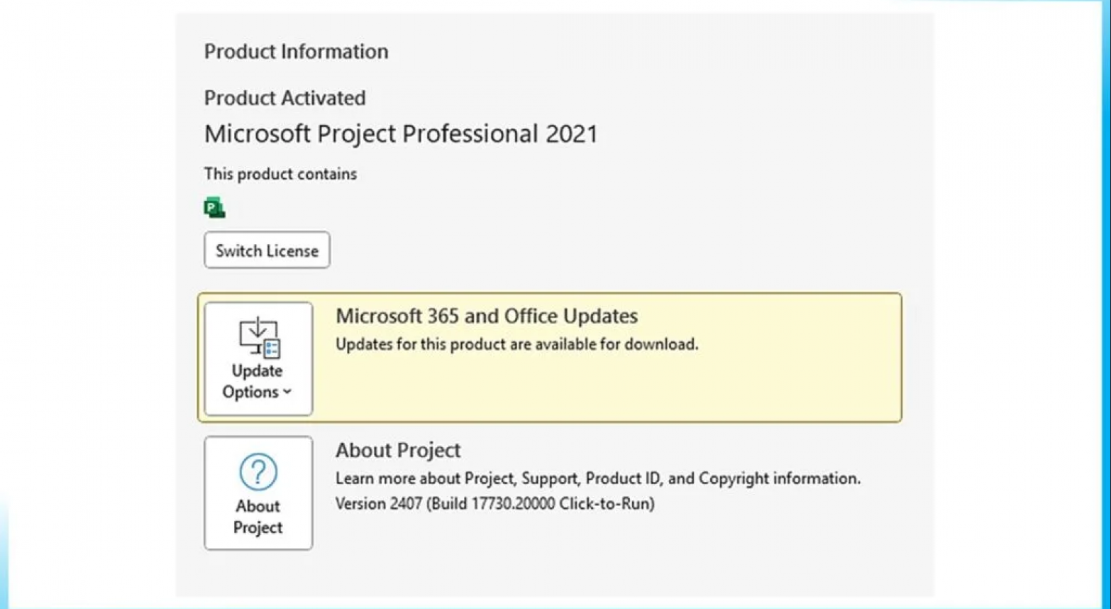 Microsoft Project Professional 2021 - 2