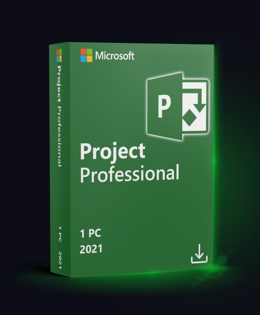 Microsoft Project Professional 2021 Project