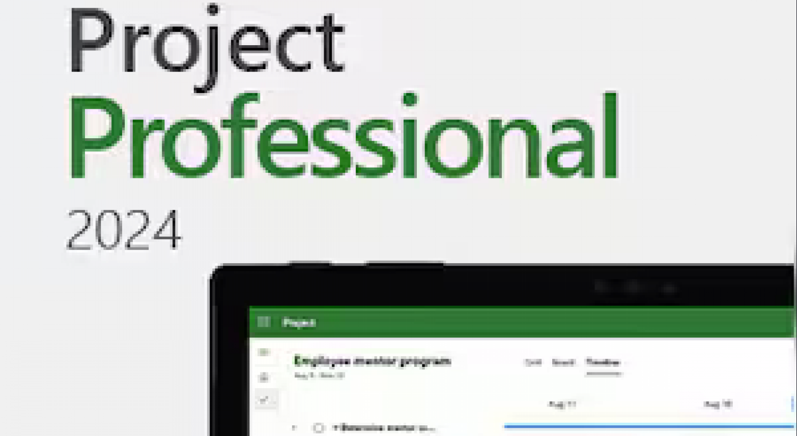 Microsoft Project Professional 2024 - 4