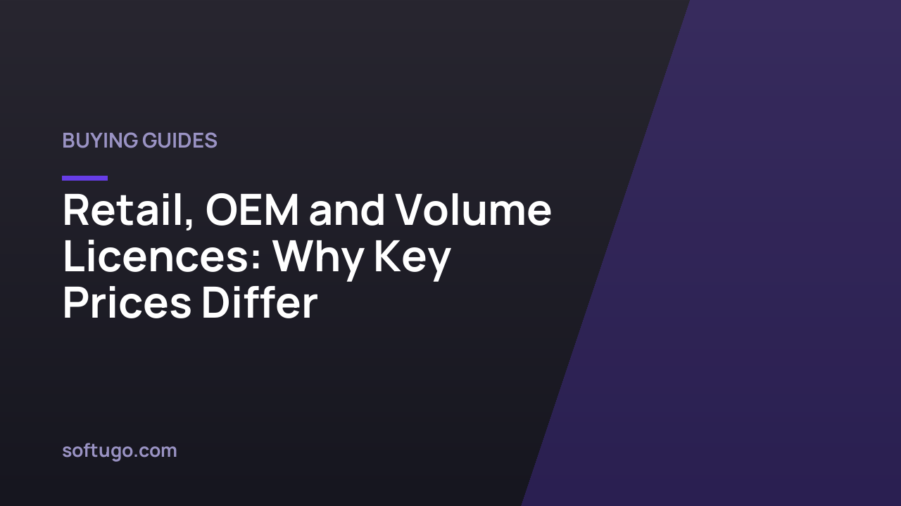 Retail, OEM and Volume Licences: Why Key Prices Differ